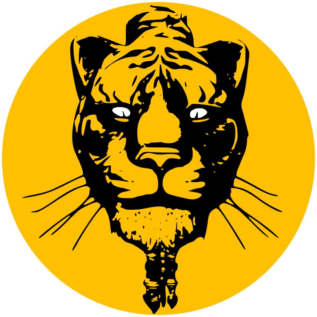 logo shiny's squad gaming